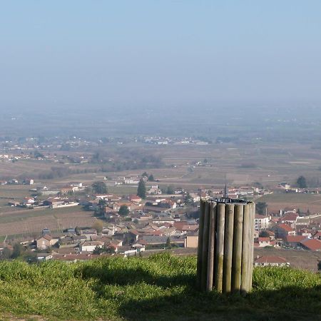 Logis Hotel Des Grands Vins Fleurie Kültér fotó