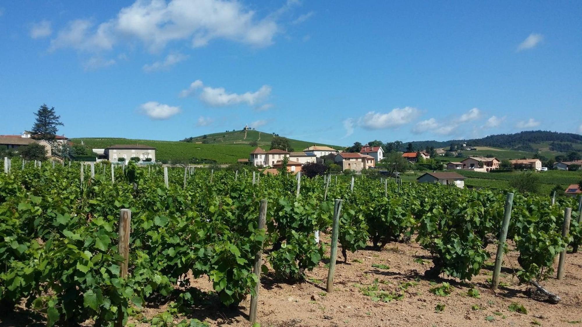 Logis Hotel Des Grands Vins Fleurie Kültér fotó