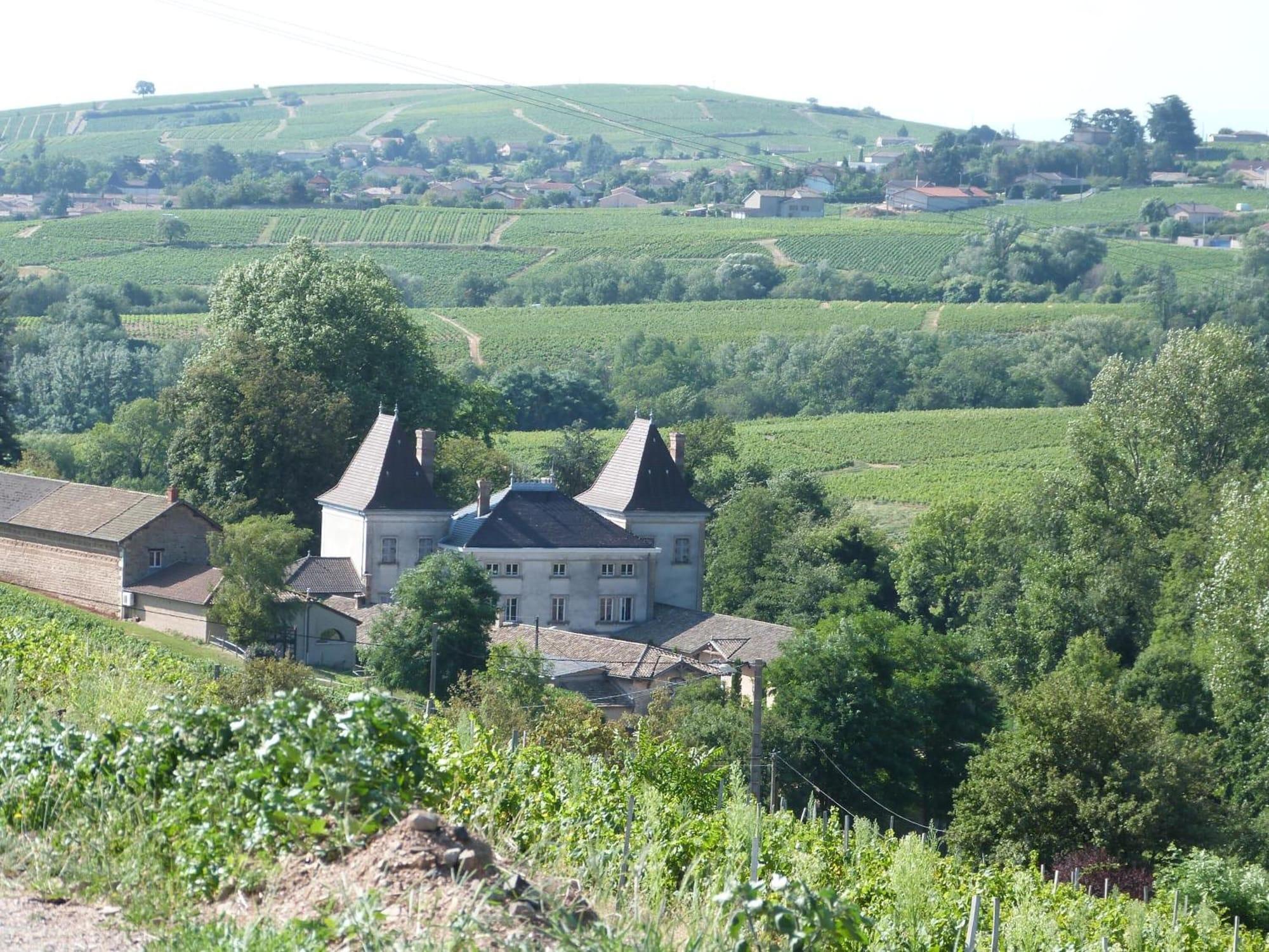 Logis Hotel Des Grands Vins Fleurie Kültér fotó