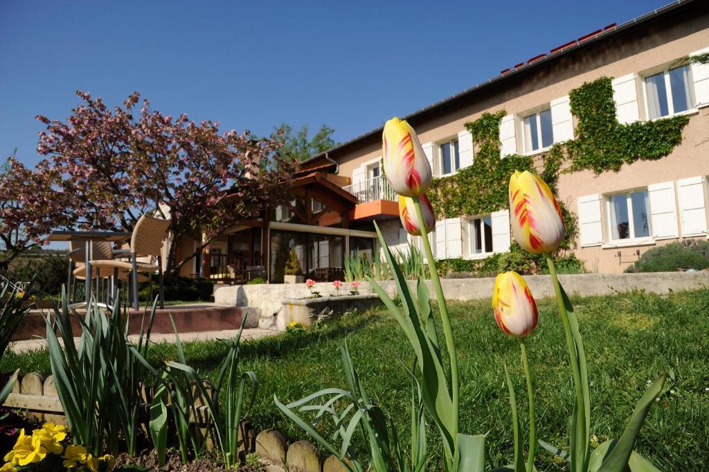 Logis Hotel Des Grands Vins Fleurie Kültér fotó