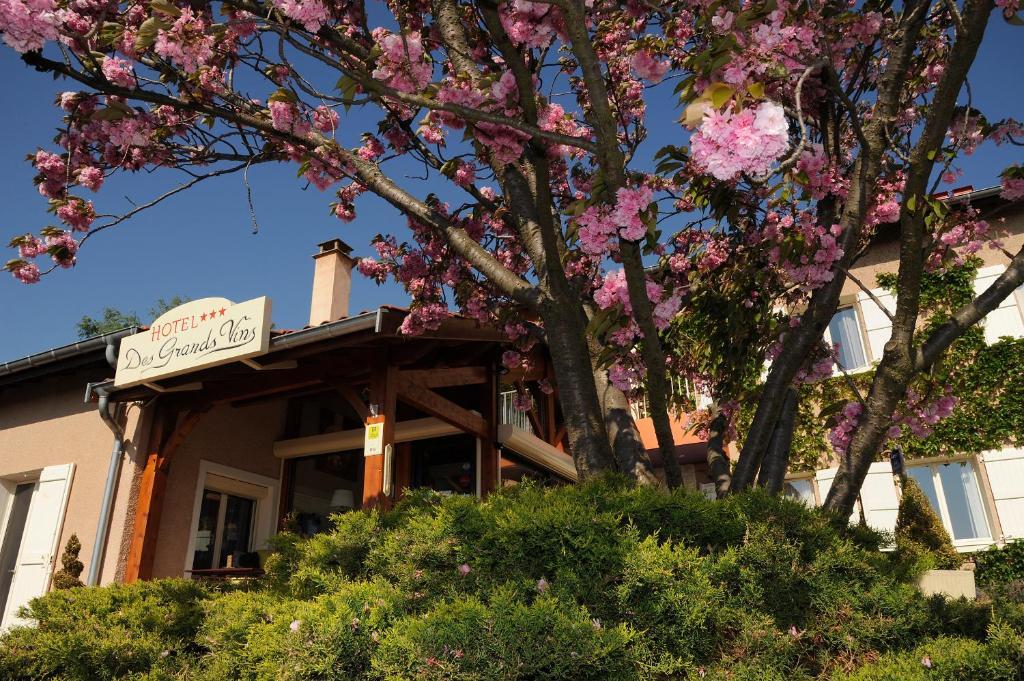 Logis Hotel Des Grands Vins Fleurie Kültér fotó