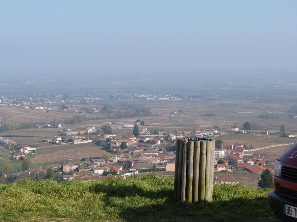 Logis Hotel Des Grands Vins Fleurie Kültér fotó