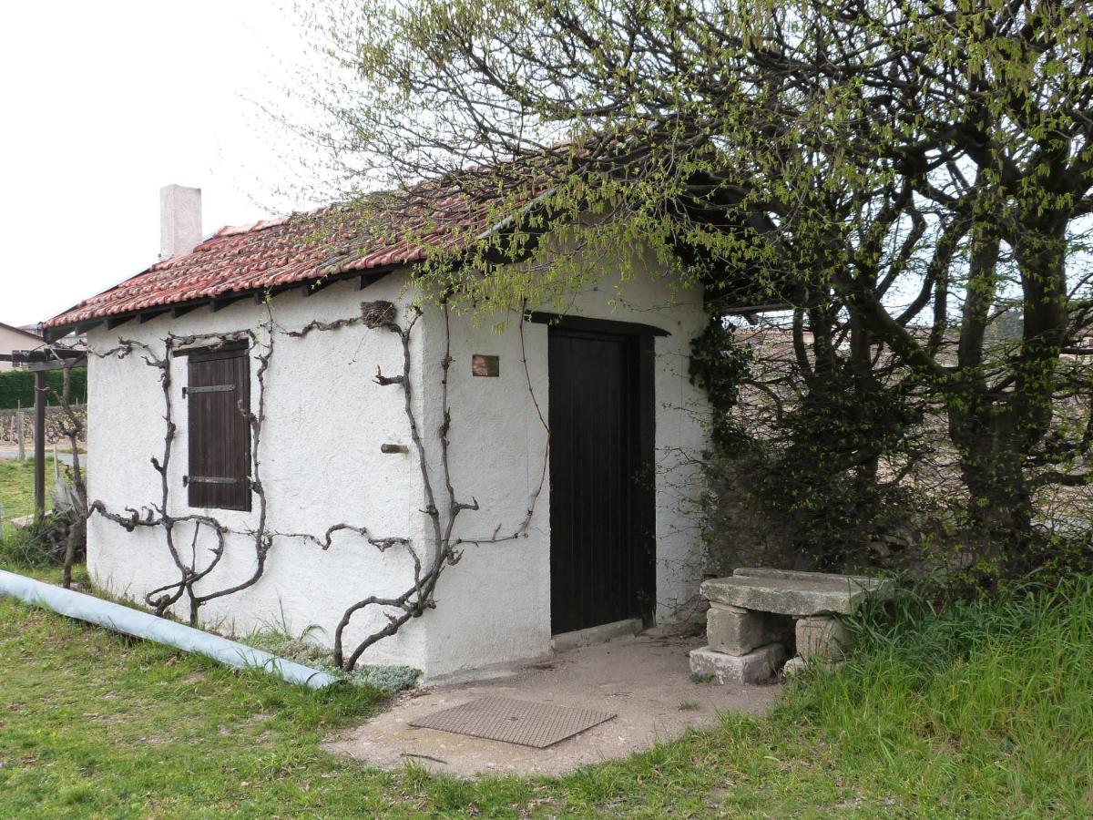 Logis Hotel Des Grands Vins Fleurie Kültér fotó